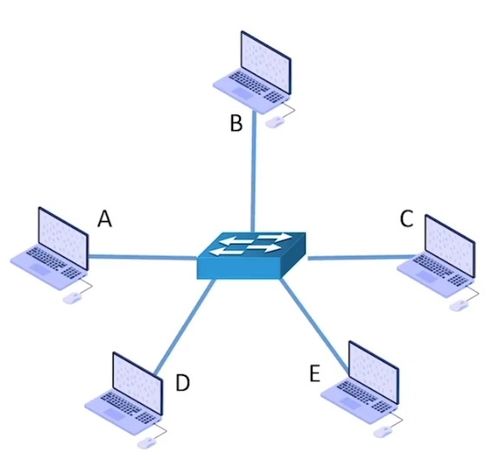 一 ⅰ 交換技術(shù)與計(jì)算機(jī)網(wǎng)絡(luò)分類 構(gòu)建現(xiàn)代數(shù)字世界的基石